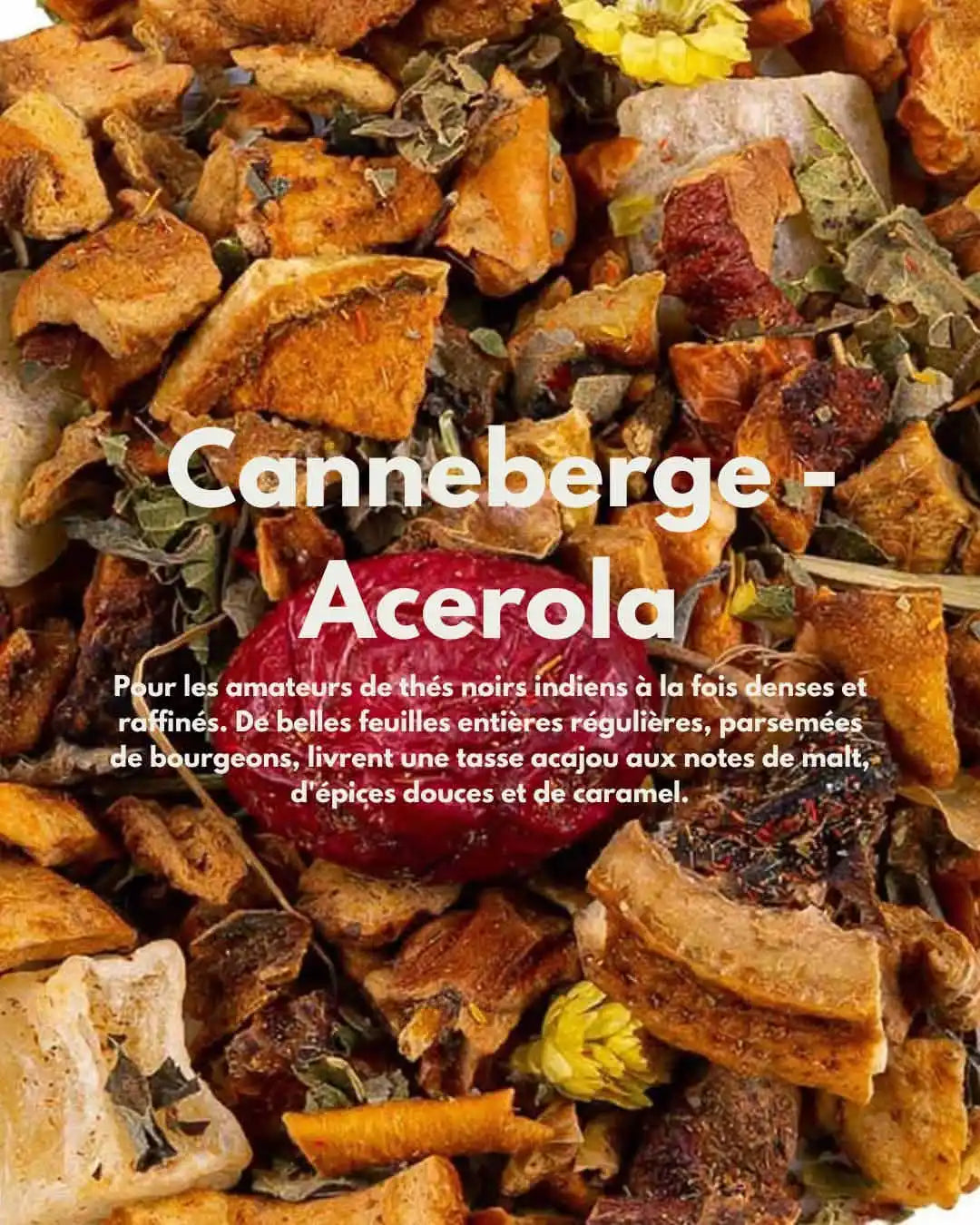 Mirtillo rosso-Acerola — infuso di frutta vitaminico, senza teina