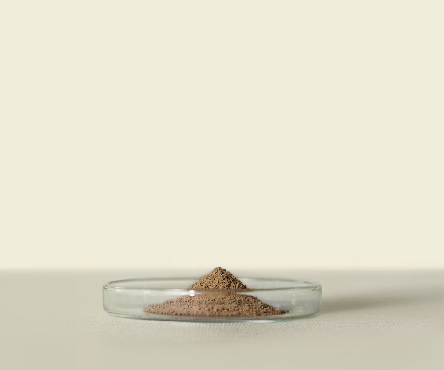 Houjicha d’Uji Premium 100g : Saveur Grillée et Caramélisée - THÉ.ŌLOGY