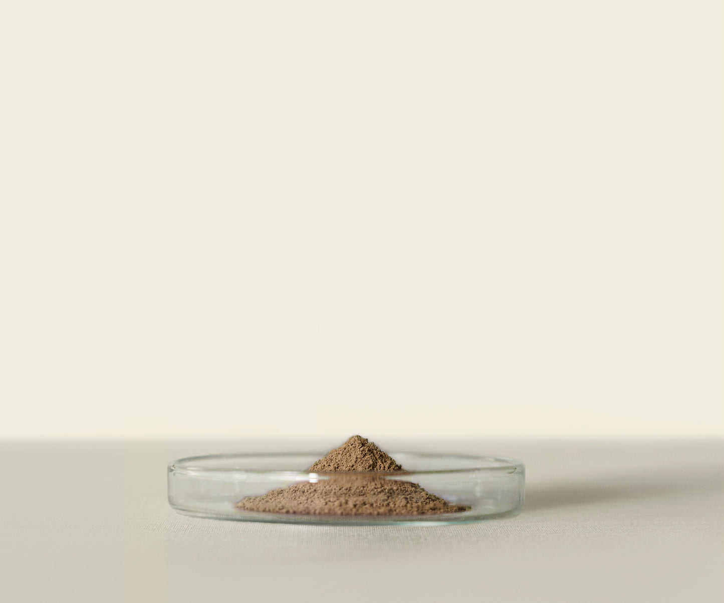 Houjicha d’Uji Premium 1Kg : Saveur Grillée et Caramélisée - THÉ.ŌLOGY