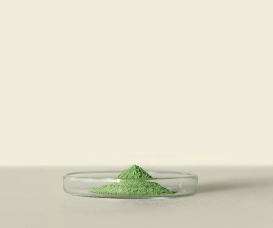 Midori™ Culinary Matcha 20g: Pour une Cuisine Raffinée - THÉ.ŌLOGY