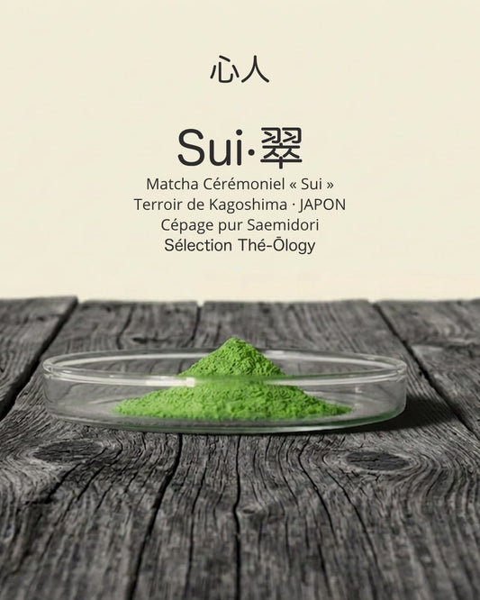 Matcha Sui — Pur Saemidori Bio de Kagoshima, umami & Végétal frais