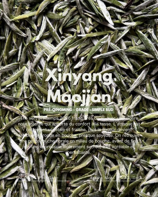 2026 Spring Xinyang Maojian – Thé Vert Henan / PRÉ-QINGMING / GRADE : SINGLE BUD