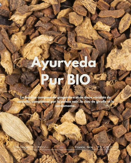 Infusion Ayurveda Bio — le mélange d'épices brutes sans théine