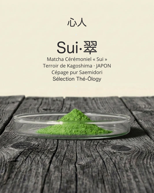 Matcha Bio Sui – Pur Cépage Saemidori Bio – 5g / 20g / 50g
