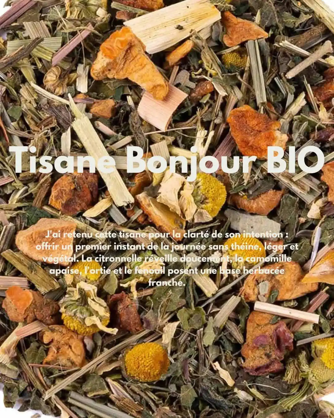 Tisana Buongiorno BIO — Ortica Finocchio Citronella Camomilla Bio