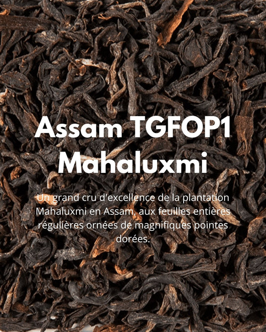 Assam TGFOP1 Mahaluxmi - THÉ - OLOGY