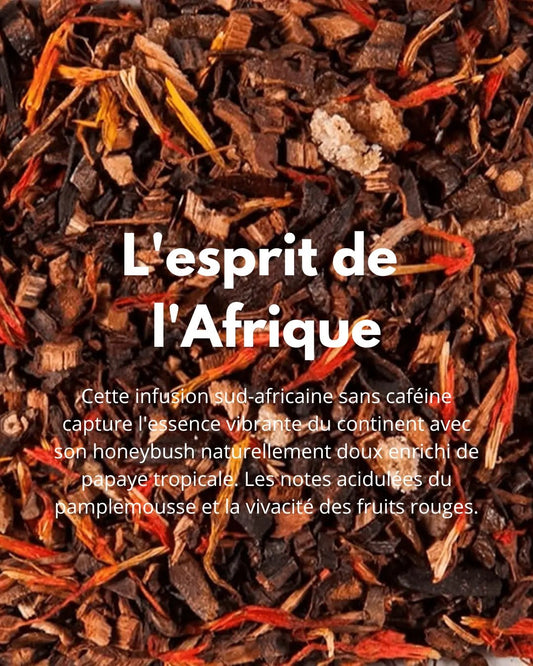 L’Esprit de l’Afrique - THÉ - OLOGY