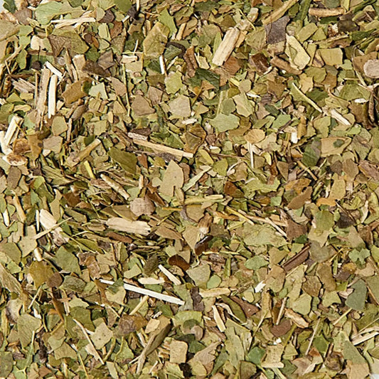 Maté vert premium THE-OLOGY, tasse énergie, boisson naturelle sud-américaine, infusion vitalité