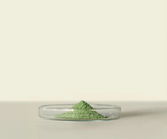 Mirai™ Culinary Matcha 1kg - Idéal pour Desserts - THÉ - OLOGY