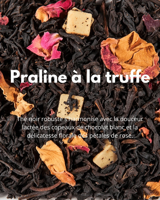 Praline à la Truffe - THÉ - OLOGY