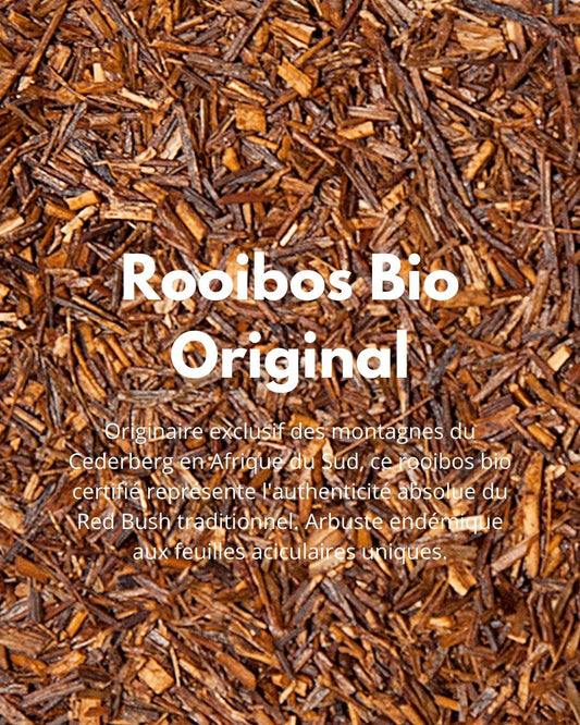 Rooibos Bio Original - THÉ - OLOGY