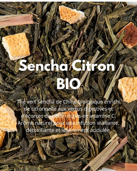 Sencha Citron BIO - THÉ - OLOGY