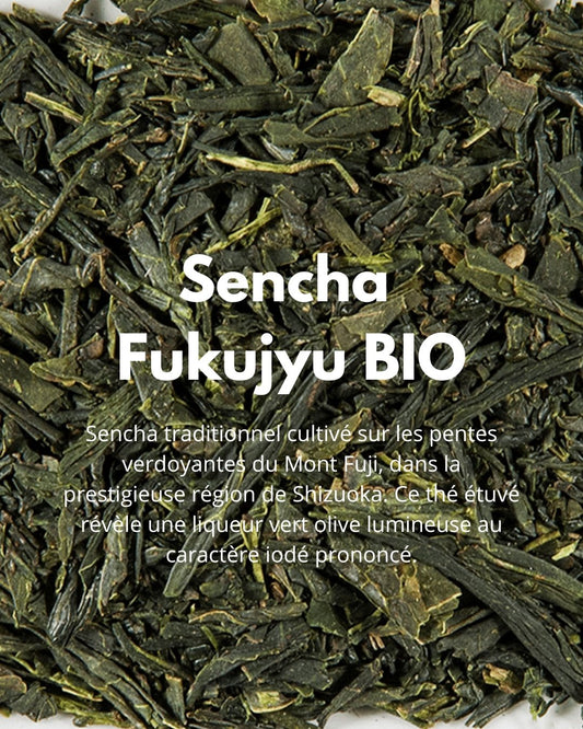 Sencha Fukujyu BIO - THÉ - OLOGY