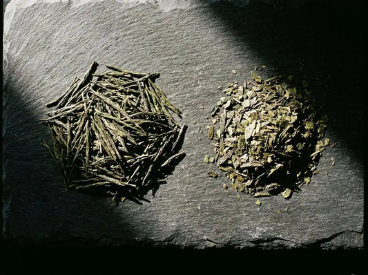 Deux styles de Sencha japonais, feuilles asamushi et fukamushi côte à côte