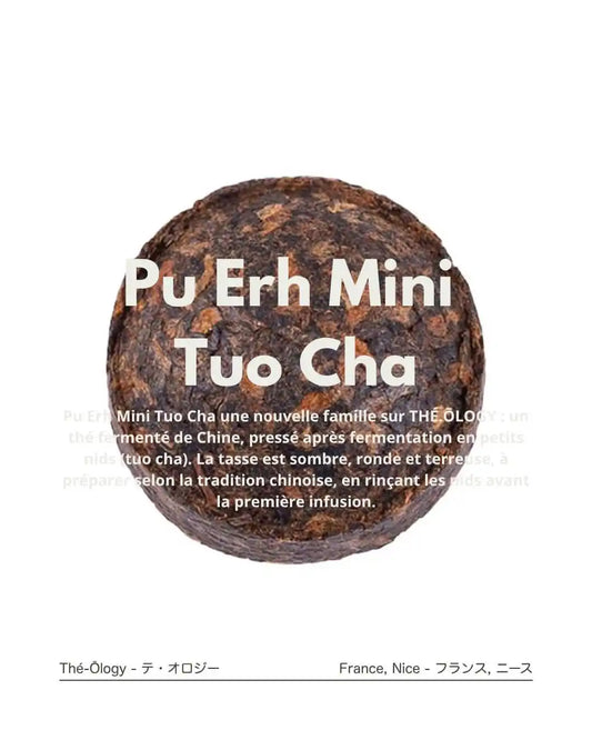 Pu Erh Mini Tuo Cha — nids compressés de Chine, liqueur terreuse et ronde