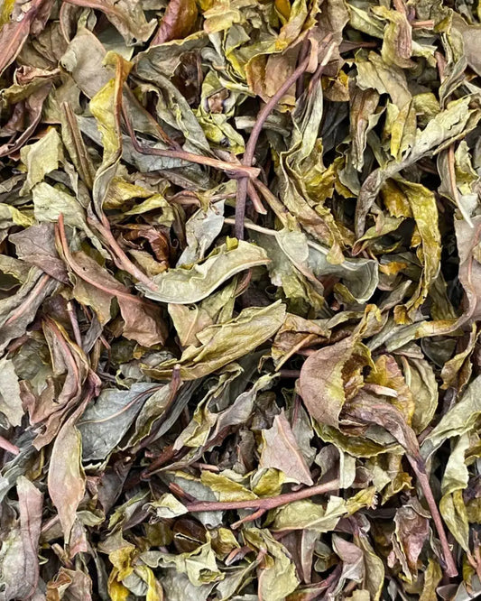 Kamairicha Harubancha – Séché au soleil Nara – 50g