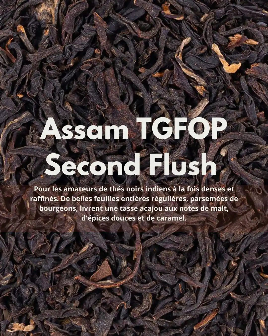 Assam TGFOP Second Flush Rembeng Bio — malté, épices douces & caramel