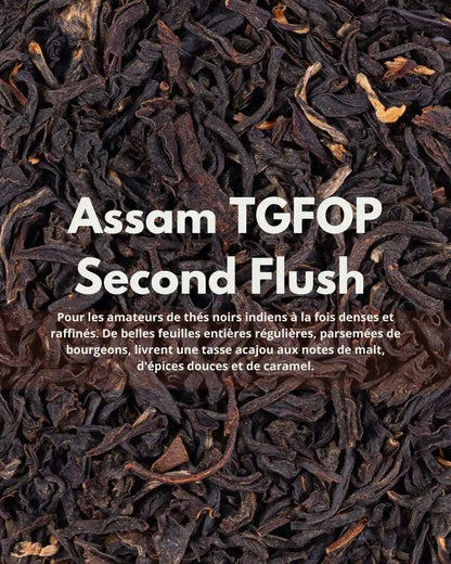 Assam TGFOP Second Flush Rembeng Bio — malté, épices douces & caramel