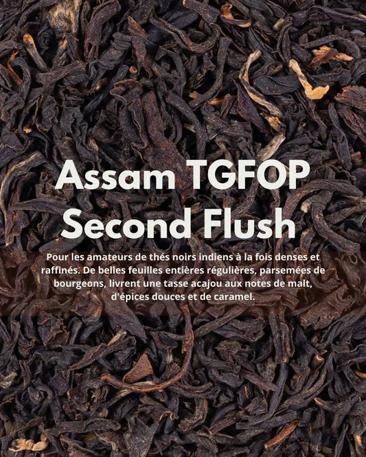 Assam TGFOP Second Flush Rembeng Bio — maltato, spezie dolci e caramello