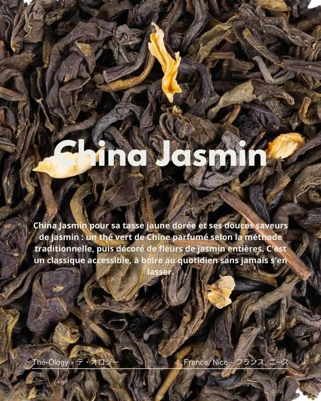 China Jasmin — thé vert jasmin de Chine, tasse dorée et parfumée