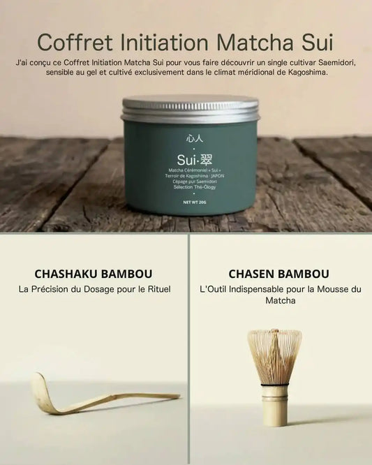 Coffret Initiation Matcha Sui — Kit Fouet & Cuillère