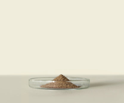 Houjicha d’Uji Premium 100g : Saveur Grillée et Caramélisée - THÉ.ŌLOGY