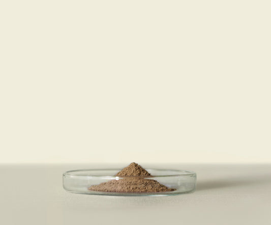 Houjicha d’Uji Premium 100g : Saveur Grillée et Caramélisée - THÉ.ŌLOGY