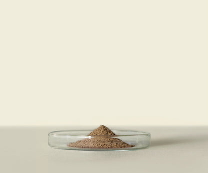 Houjicha d’Uji Premium 1Kg : Saveur Grillée et Caramélisée - THÉ.ŌLOGY