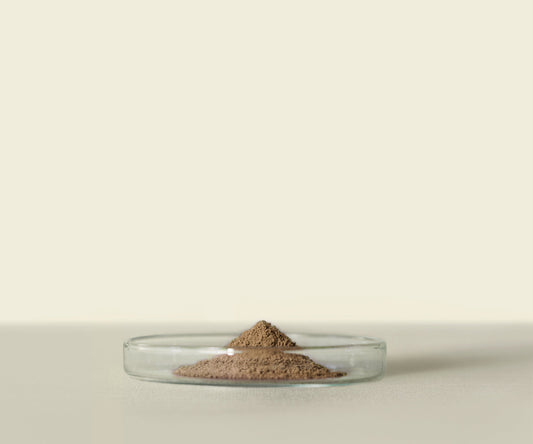 Houjicha d’Uji Premium 1Kg : Saveur Grillée et Caramélisée - THÉ.ŌLOGY
