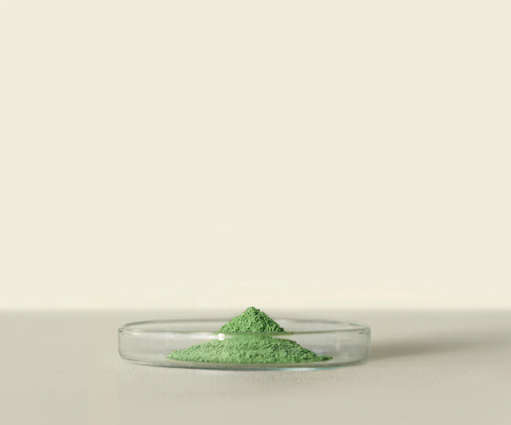 Meiko™ Matcha Cérémonial 20g : Cordial Vert Émeraude Intense - THÉ.ŌLOGY