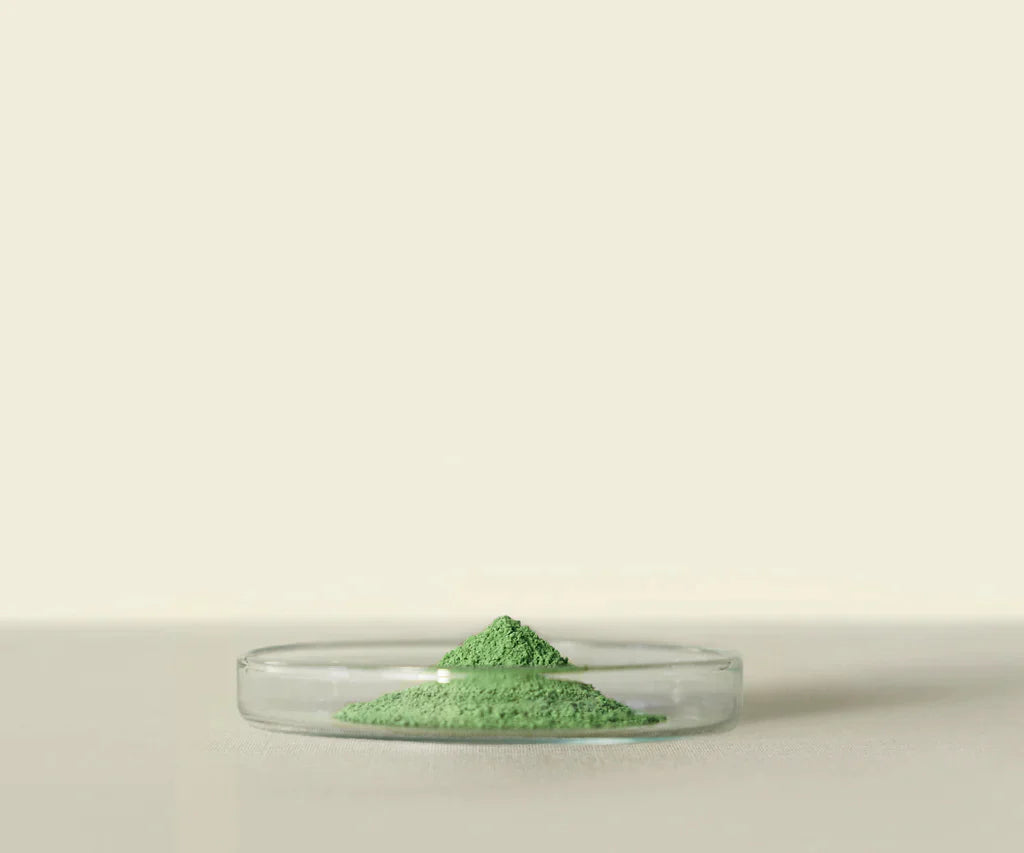 Meiko™ Matcha Cérémonial 100g : Cordial Vert Émeraude Intense - THÉ.ŌLOGY