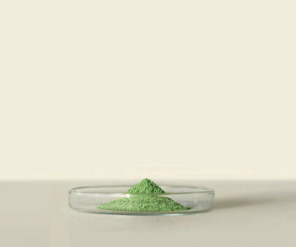 Midori™ Culinary Matcha 1 Kg: Pour une Cuisine Raffinée - THÉ.ŌLOGY