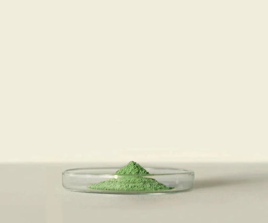 Midori™ Culinary Matcha 1 Kg: Pour une Cuisine Raffinée - THÉ.ŌLOGY