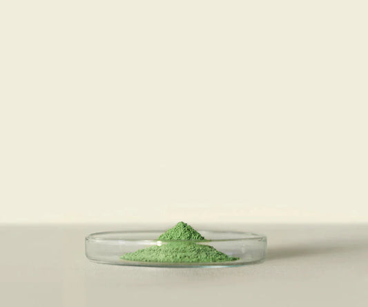 Midori™ Culinary Matcha 100g: Pour une Cuisine Raffinée - THÉ.ŌLOGY