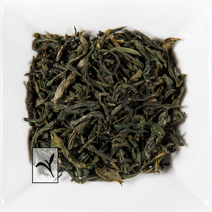 Jade Sauvage - Thé Vert Mao Feng Criss Cross - THÉ.ŌLOGY