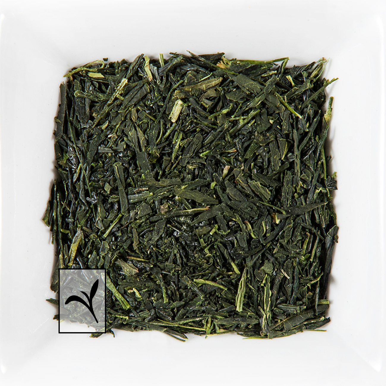 Rosée Noble - Thé Vert Japonais Gyokuro Asahi - THÉ.ŌLOGY