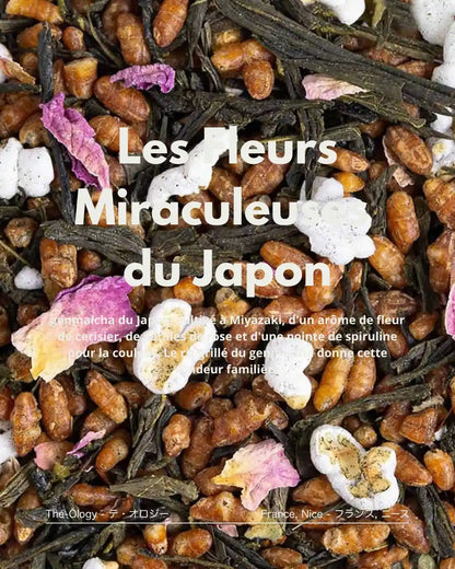 Les Fleurs Miraculeuses du Japon — genmaicha fleur de cerisier & spiruline