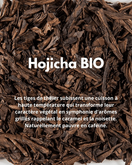 Hojicha BIO - THÉ - OLOGY