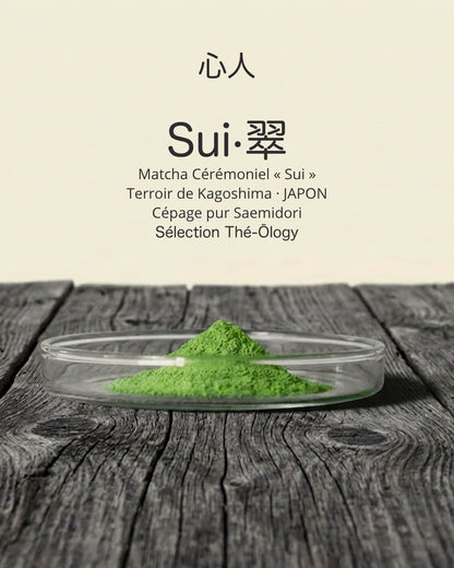 Matcha Sui — Pur Saemidori Bio de Kagoshima, umami & Végétal frais