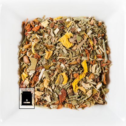 Vitalité Citron Vert - Maté Bio Citron & Citron Vert - THÉ.ŌLOGY