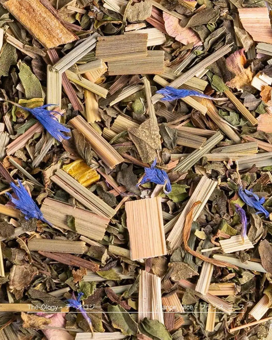 Ayurveda Pitta BIO – Tisane Équilibrante