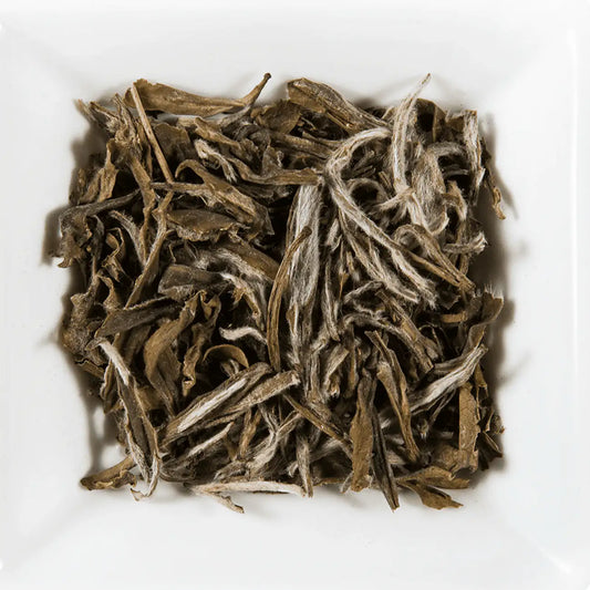 Bourgeons Neige Blancs vrac bourgeons argentés duvetés blancs feuilles ouvertes jeunes vert pâle Fujian cueillette manuelle