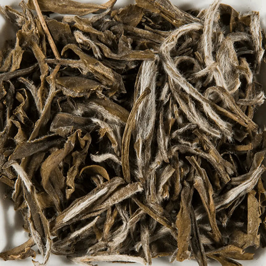 Infusion Bourgeons Neige liqueur ivoire pâle clair presque transparent cristallin brillant délicat doux