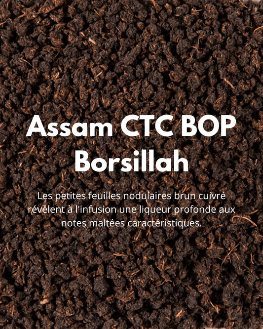 Assam CTC BOP Borsillah - THÉ - OLOGY