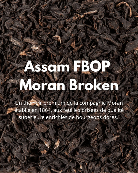 Assam FBOP Moran Broken - THÉ - OLOGY