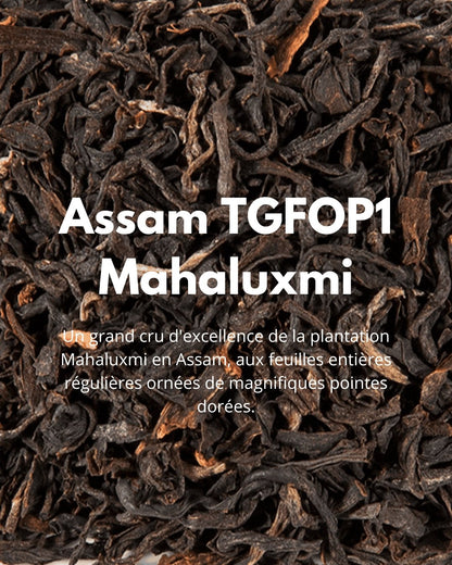 Assam TGFOP1 Mahaluxmi - THÉ - OLOGY