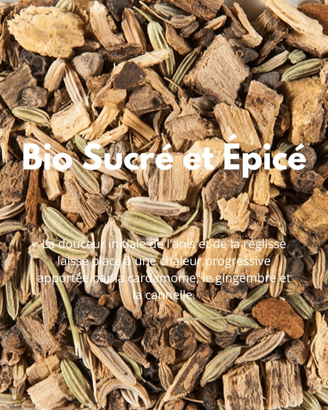 Bio Sucré et Épicé - THÉ - OLOGY