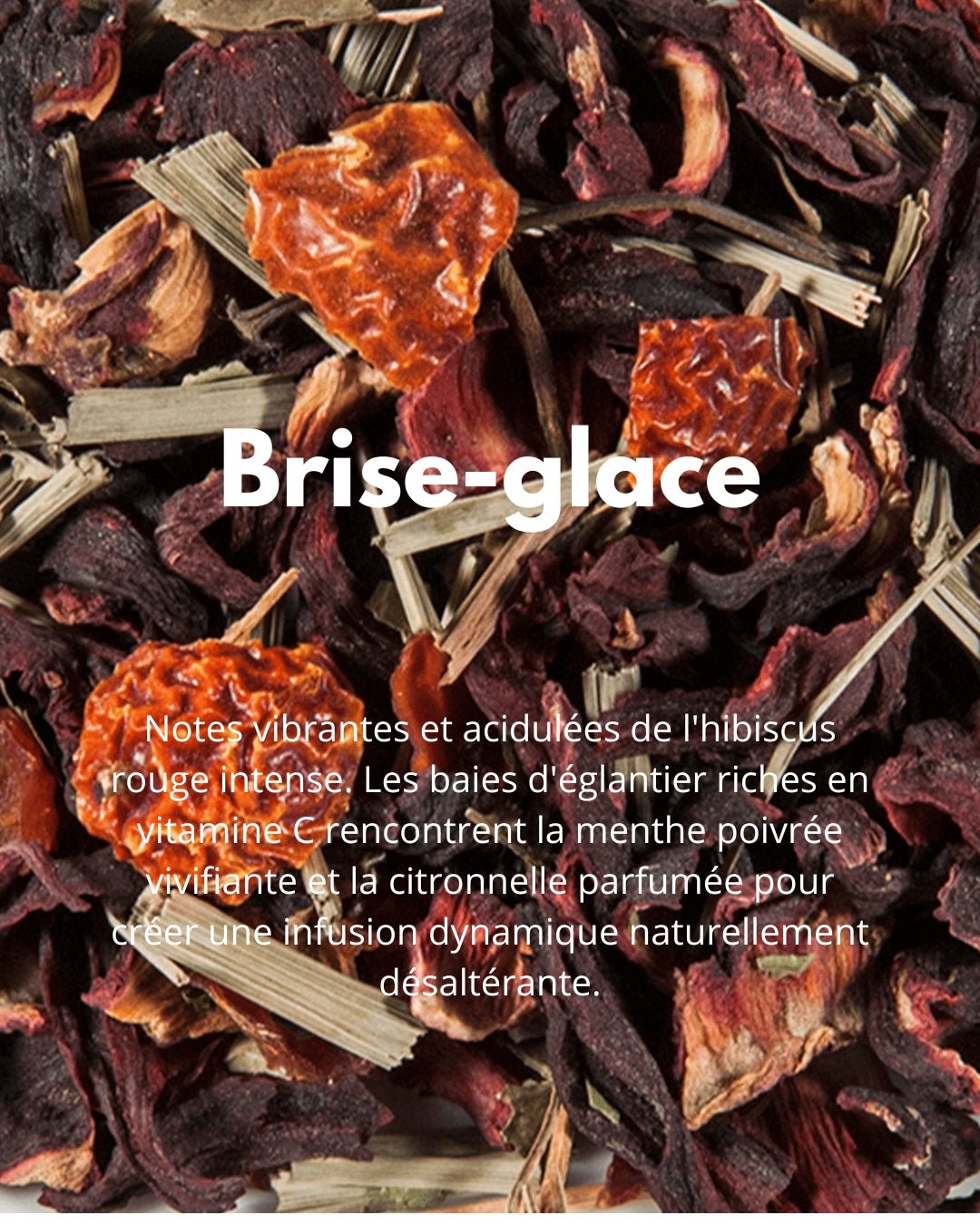 Brise - glace - THÉ - OLOGY