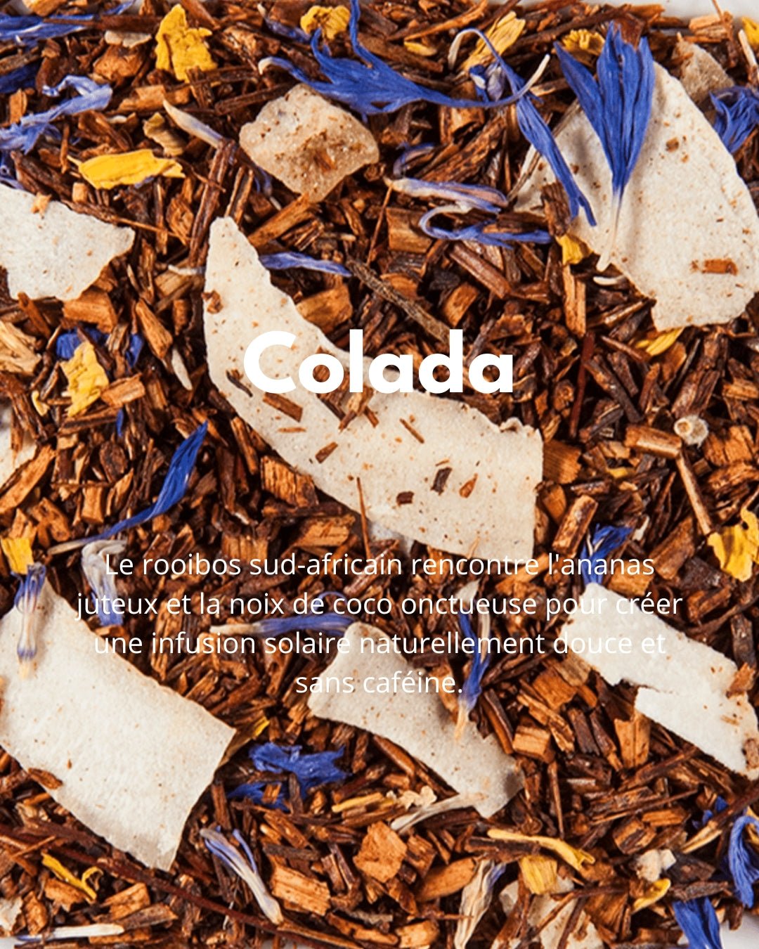 Colada - THÉ - OLOGY