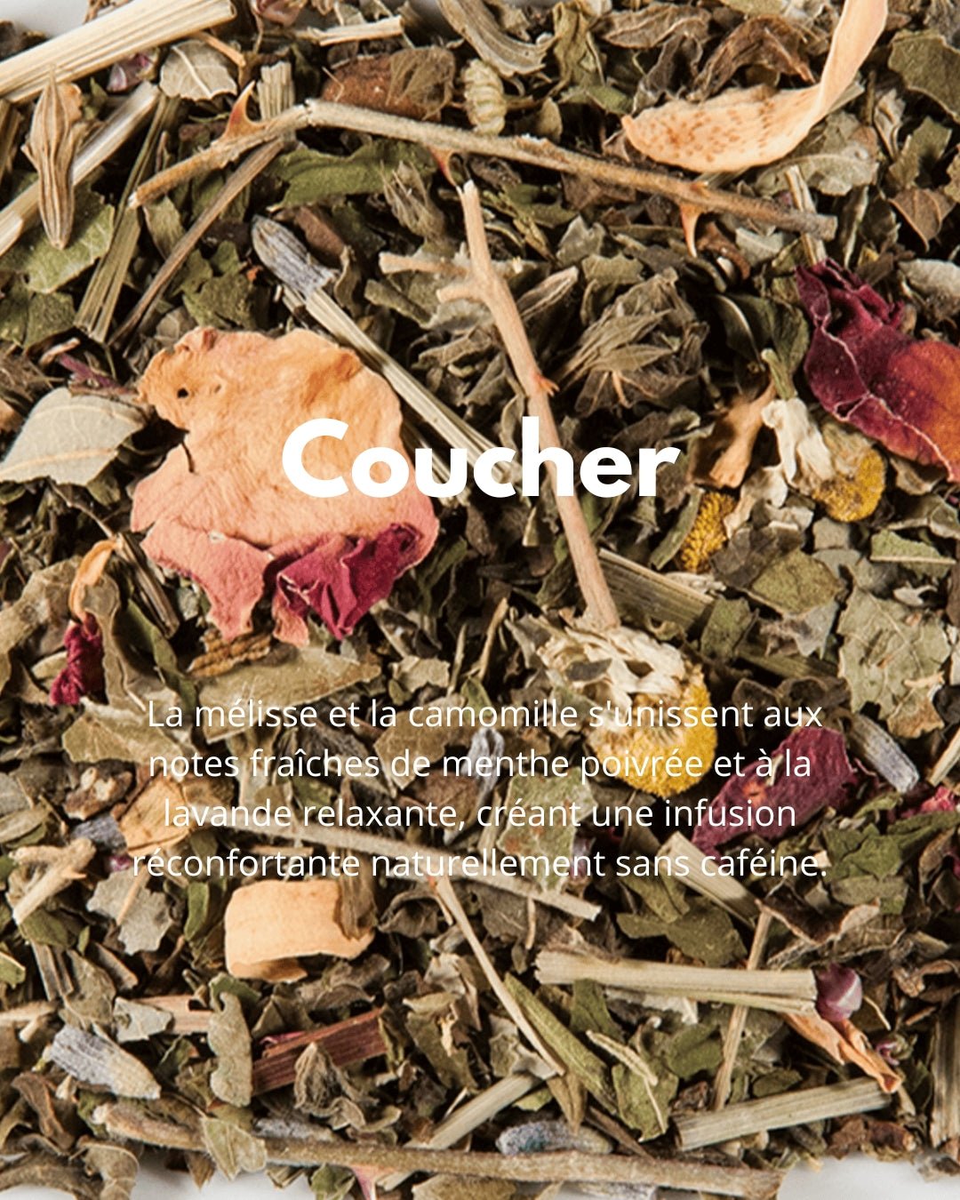 Coucher - THÉ - OLOGY